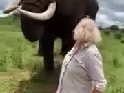 Huge Elephant Pranks A Woman