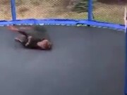 Wholesome Doggo And Kid Jump On A Trampoline