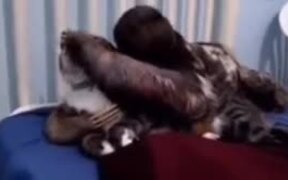 The Creepy Sloth Is Back - Animals - VIDEOTIME.COM