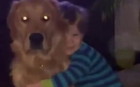 Cute Doggo Hugs Back The Child - Kids - VIDEOTIME.COM