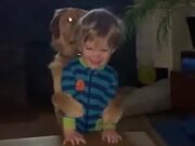 Cute Doggo Hugs Back The Child