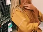 Cat Doesn't Want To Let Go Of It's New Owner