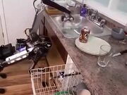 Dishwashing Robot Works Well