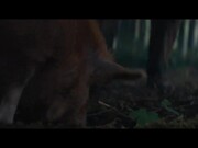 Pig Trailer
