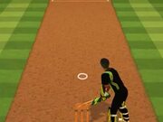 Cricket Batter Challenge Walkthrough - Games - Y8.com