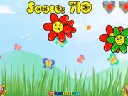 Flower Boom Walkthrough - Games - Y8.COM