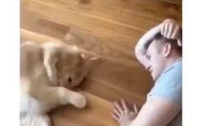 How Lazy Dogs Go Fetching - Animals - VIDEOTIME.COM
