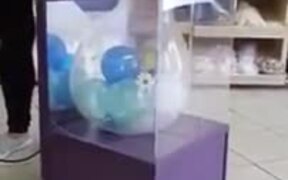 Here's How They Put Balloons Inside Balloons - Tech - VIDEOTIME.COM