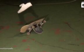 Skateboard Guy - Sports - Videotime.com