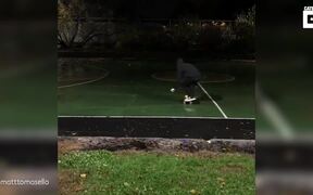 Skateboard Guy - Sports - VIDEOTIME.COM
