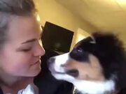 Cute Dog Gets A Kiss, Kisses Back