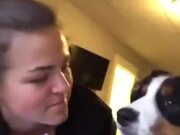 Cute Dog Gets A Kiss, Kisses Back