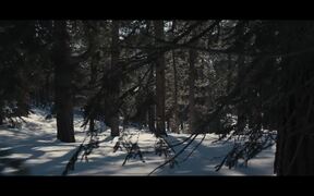 Stray Dogs Trailer - Movie trailer - VIDEOTIME.COM