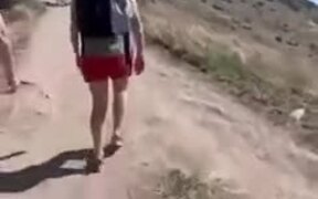 Woman Gets The Fake Snake Prank Done On Her - Fun - VIDEOTIME.COM
