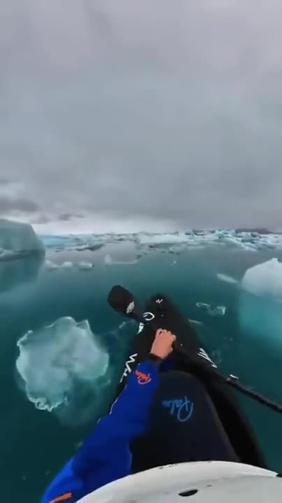 Kayaking Through The Frozen World Of The Arctic