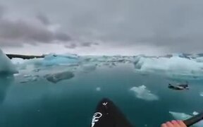 Kayaking Through The Frozen World Of The Arctic