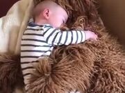 Cuddly Dog Is A Real-Life Teddy Bear