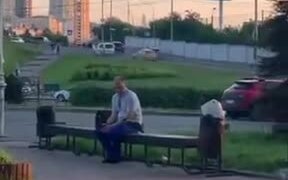 Guy At The Park Sits With A Friendly Crow - Animals - VIDEOTIME.COM