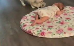 Cute Cat Brings Her Kitten To A Sleeping Baby - Animals - VIDEOTIME.COM
