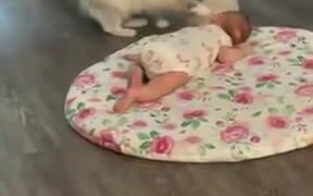 Cute Cat Brings Her Kitten To A Sleeping Baby - Animals - VIDEOTIME.COM