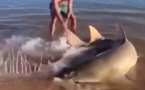 Guy Saves A Beached Sawfish - Animals - VIDEOTIME.COM