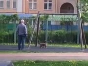 Cat Wants To Have A Go On The Swing Like A Child