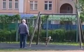 Cat Wants To Have A Go On The Swing Like A Child - Animals - VIDEOTIME.COM