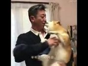 Doggo Gets To Meet Owner After A Long Time