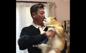 Doggo Gets To Meet Owner After A Long Time - Animals - VIDEOTIME.COM