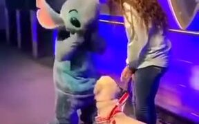 Puppy Gets Excited To Meet His Favorite Character - Animals - VIDEOTIME.COM