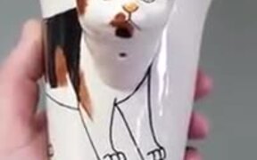 $5 Gets You This Cool Cat Coffee Mug - Fun - VIDEOTIME.COM