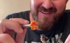 Man Takes Feeds A Tiny Baby Hummingbird - Animals - VIDEOTIME.COM