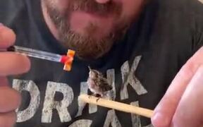 Man Takes Feeds A Tiny Baby Hummingbird - Animals - VIDEOTIME.COM