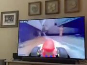 Chasing A Cat With A Mario Kart