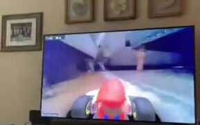 Chasing A Cat With A Mario Kart - Animals - VIDEOTIME.COM