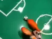 Goldfishes Engaged In A Match Of Soccer