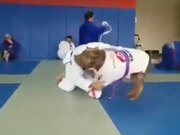 Jiu Jitsu With A Big And Happy Dog