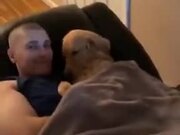 Beautifully Cute Moment Between A Guy And His Dog