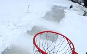 Cool Mix Of Basketball And Ice Skating