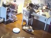 Doggo Gets Attacked By A Vacuum Robot