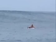 Surfer Surfing A Barrel Wave Gets Knocked Down