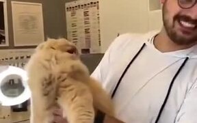 Cat Is Having None Of This Man's  Advances - Animals - VIDEOTIME.COM