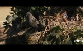 The Starling Trailer - Movie trailer - VIDEOTIME.COM