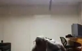 Don't Do Flips In A Room - Fun - VIDEOTIME.COM