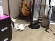 Catto Gets Spun Around Like It's A Toy