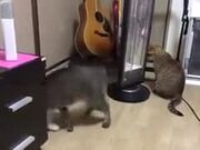 Catto Gets Spun Around Like It's A Toy