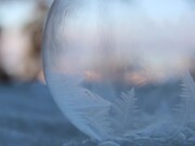 Art of Ice Bubbles