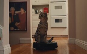 Internet Roomba Cats Teaser - Commercials - VIDEOTIME.COM
