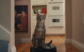 Internet Roomba Cats Teaser