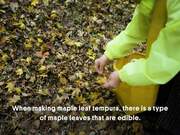 DeepFry Some Maple Leaves